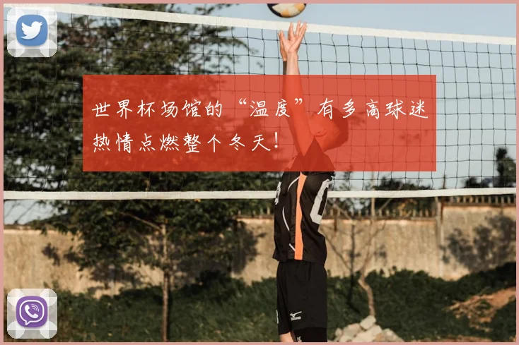 世界杯场馆的“温度”有多高球迷热情点燃整个冬天!