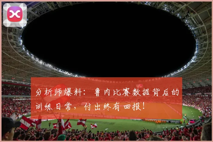 分析师爆料：鲁内比赛数据背后的训练日常，付出终有回报！