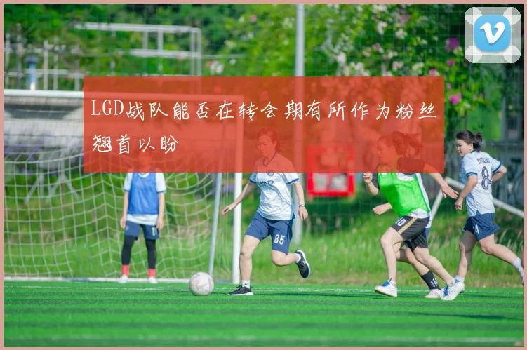 LGD战队能否在转会期有所作为粉丝翘首以盼